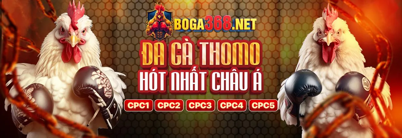 Cá cược Thể thao BJ388